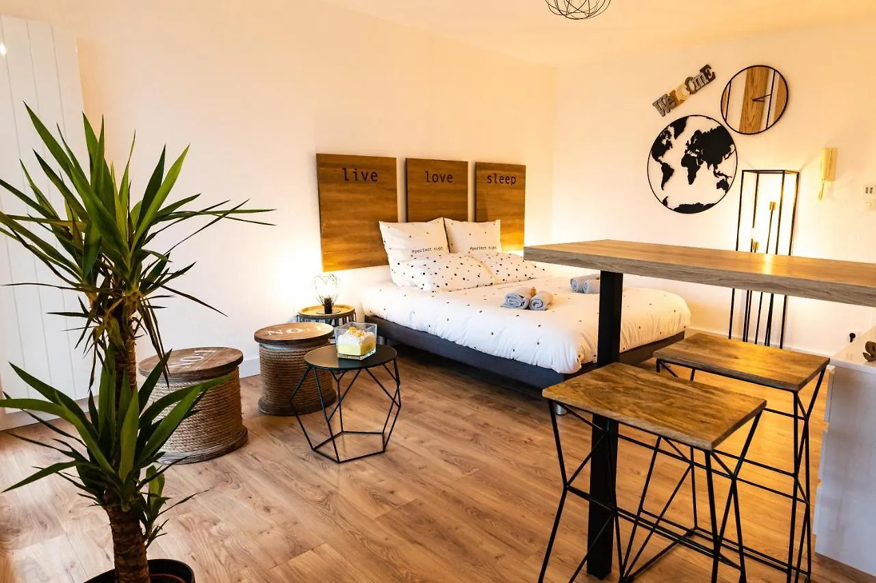 Magnifique appartement To Be Discovered Montauban