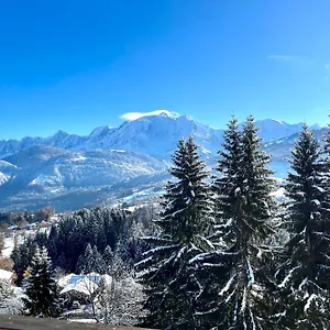 Large Apt 80m Superb View Mont-blanc 6p Combloux